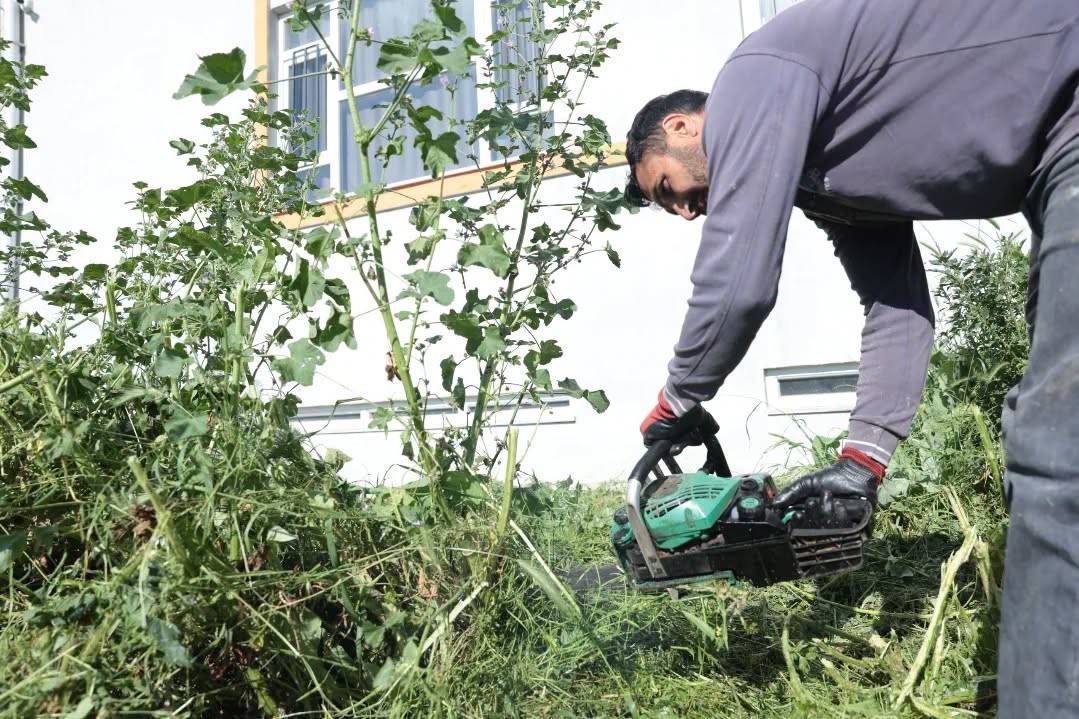 İncirliova&rsquo;da okul bah&ccedil;eleri temizlendi
