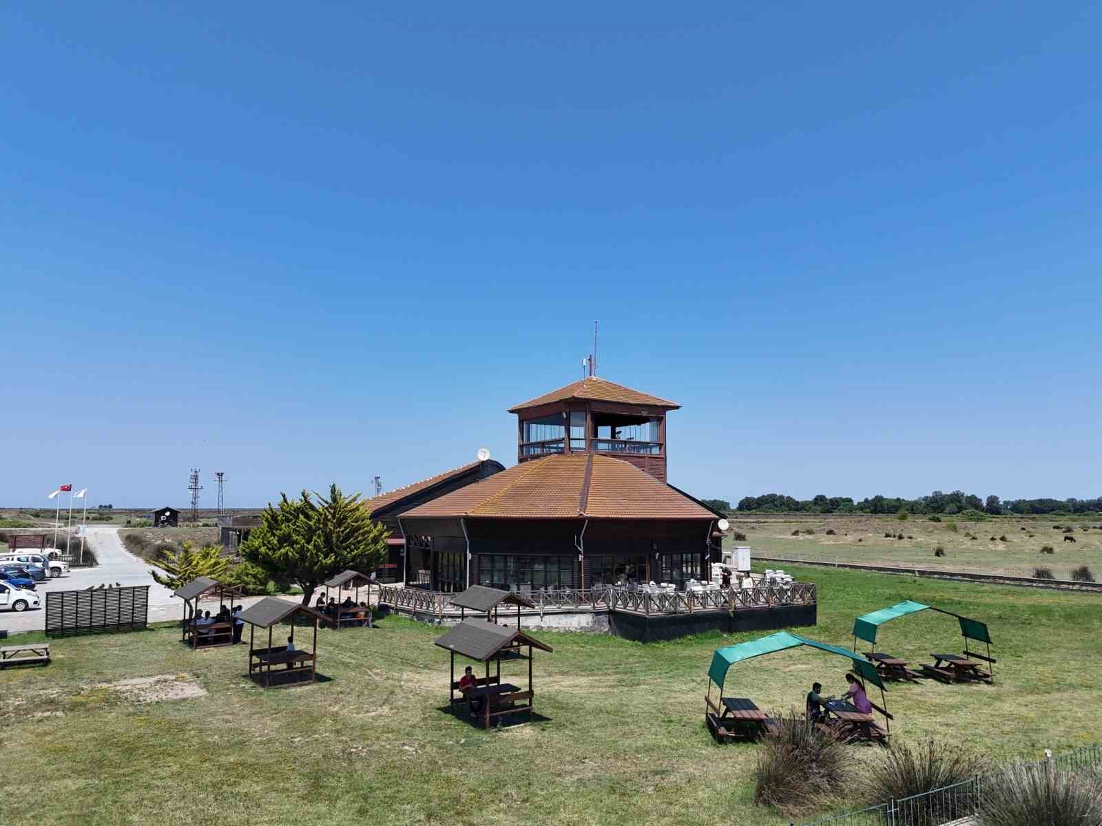 Kızılırmak Deltası Kuş Cenneti&rsquo;nde bahar coşkusu
