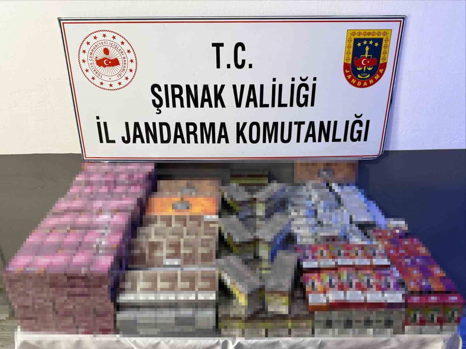 Şırnak&rsquo;ta jandarmadan asayiş, ka&ccedil;ak&ccedil;ılık ve narkotik operasyonu

