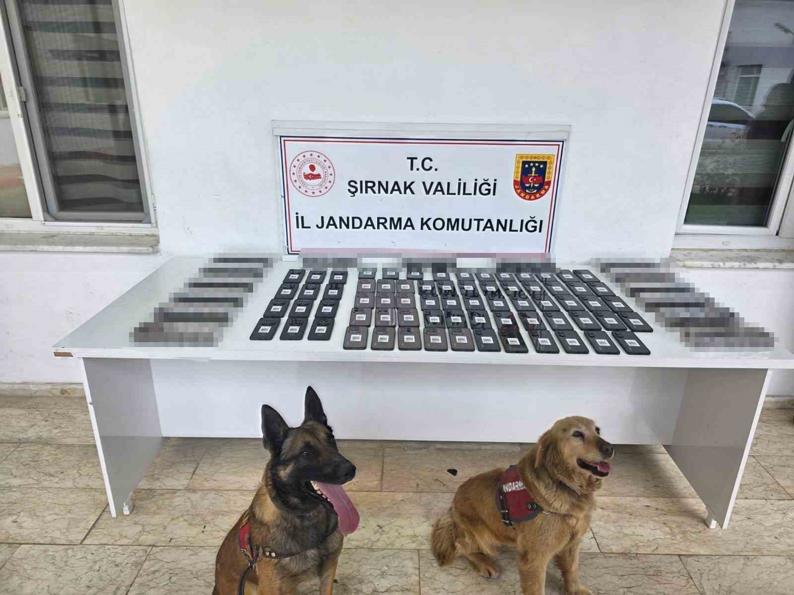 Şırnak’ta jandarmadan asayiş, kaçakçılık ve narkotik operasyonu