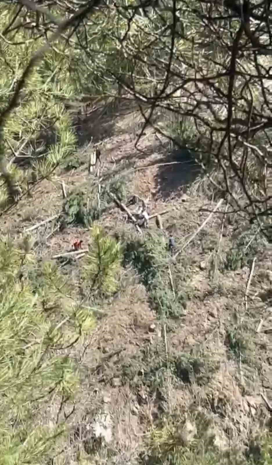 Buldan&rsquo;da tartışmalı maden sahasında ağa&ccedil; kesimi başladı
