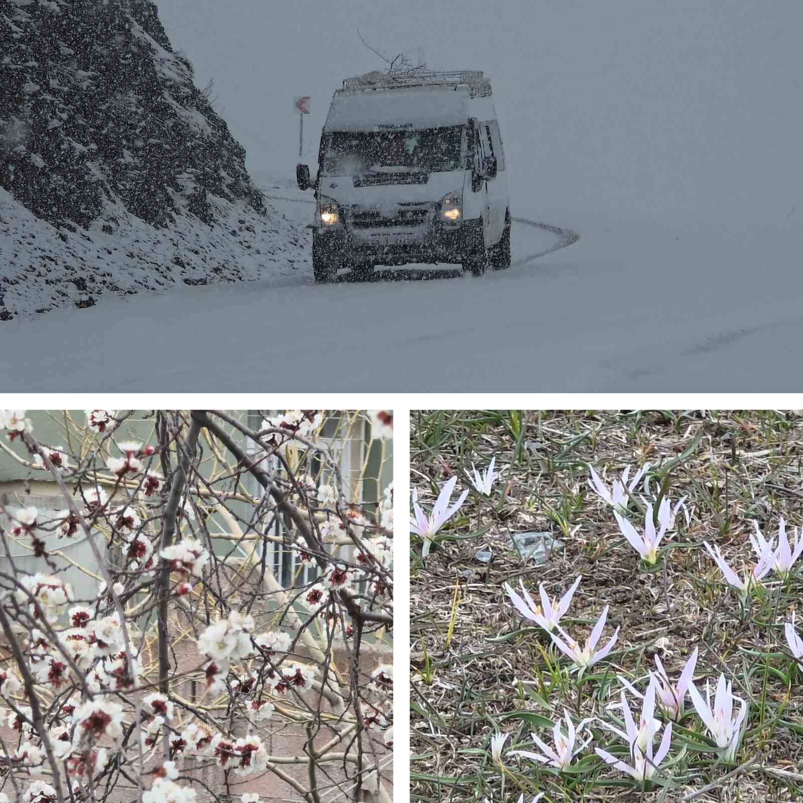 Van&rsquo;da iki mevsim bir arada: Bir yanda bahar, diğer yanda kış
