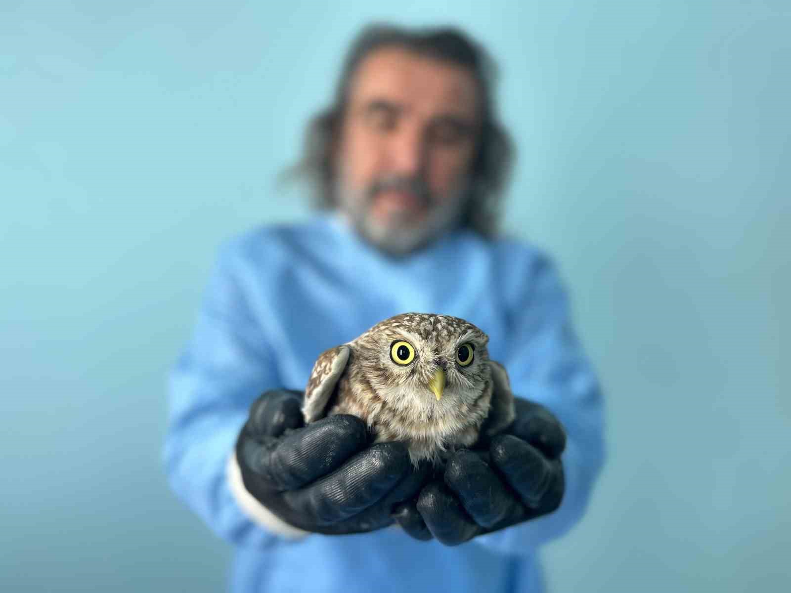 Van G&ouml;l&uuml; Havzası&rsquo;ndaki yaban hayatı emin ellerde
