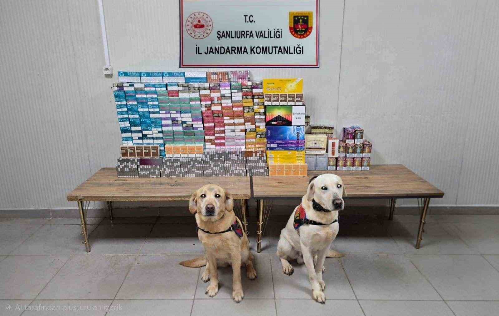 Şanlıurfa&rsquo;da 27 şahıs hakkında ka&ccedil;ak&ccedil;ılıktan işlem yapıldı
