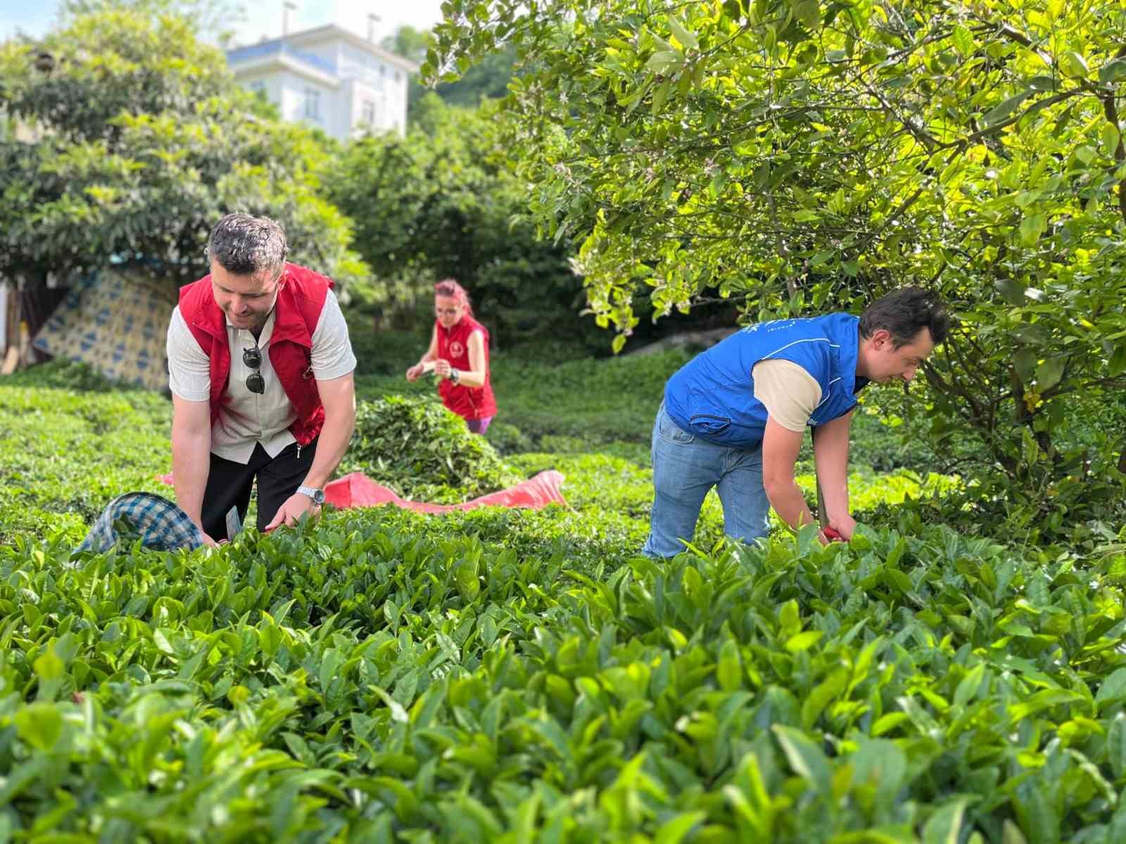 G&ouml;n&uuml;ll&uuml; Hasat Etkinliği 2026 yılı takvimi a&ccedil;ıklandı

