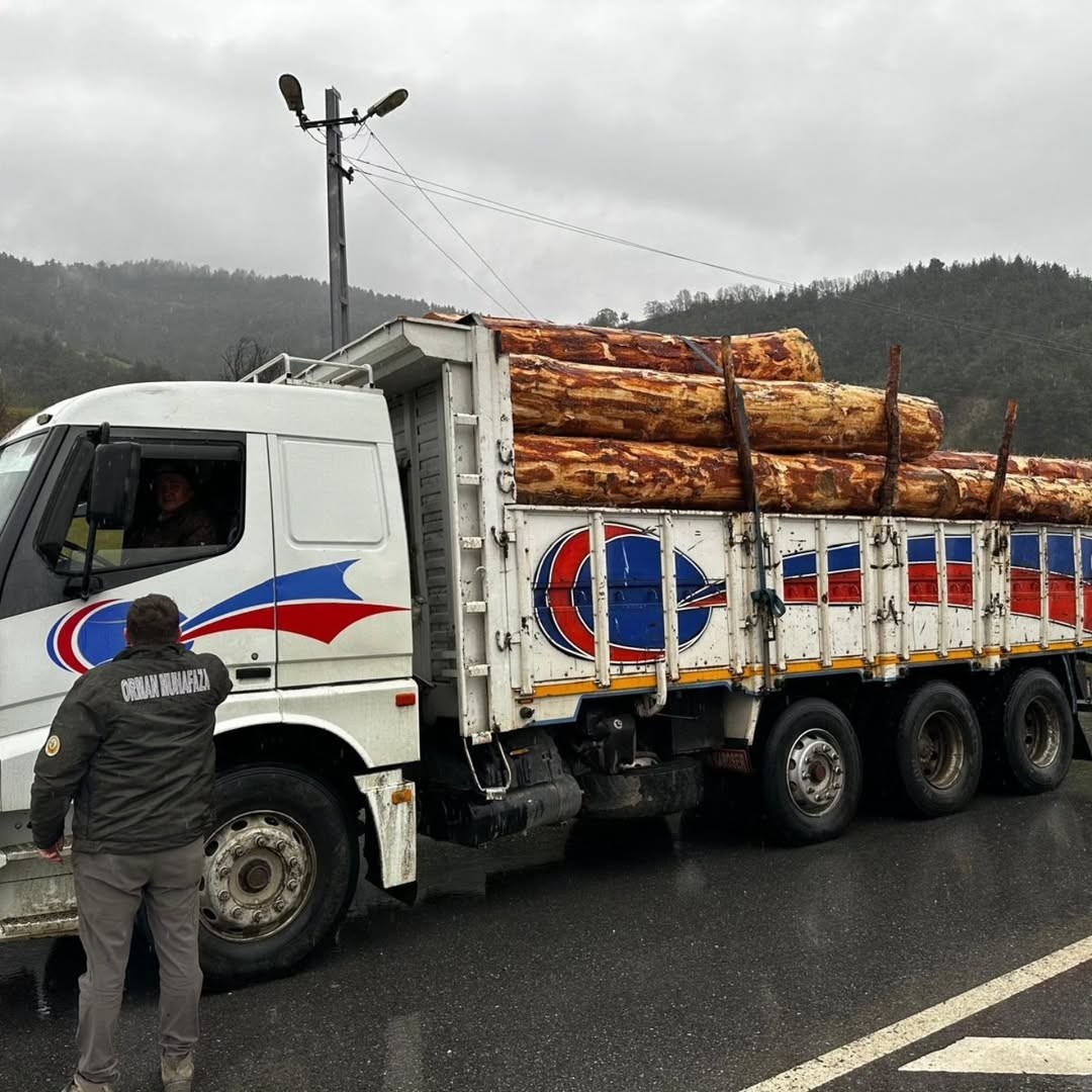 Sinop’ta orman ürünlerine 183 noktada denetim