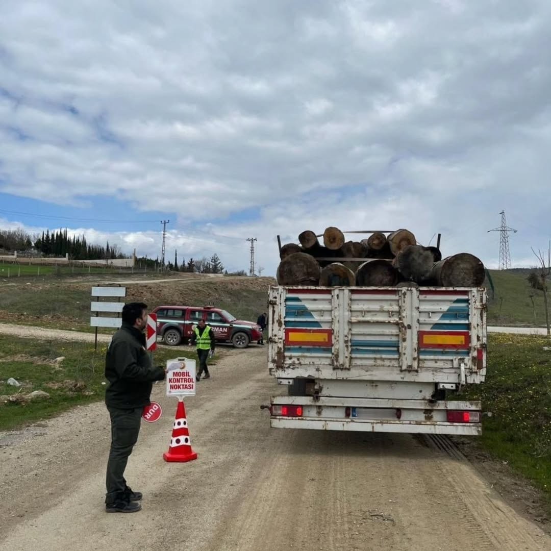 Sinop&rsquo;ta orman &uuml;r&uuml;nlerine 183 noktada denetim
