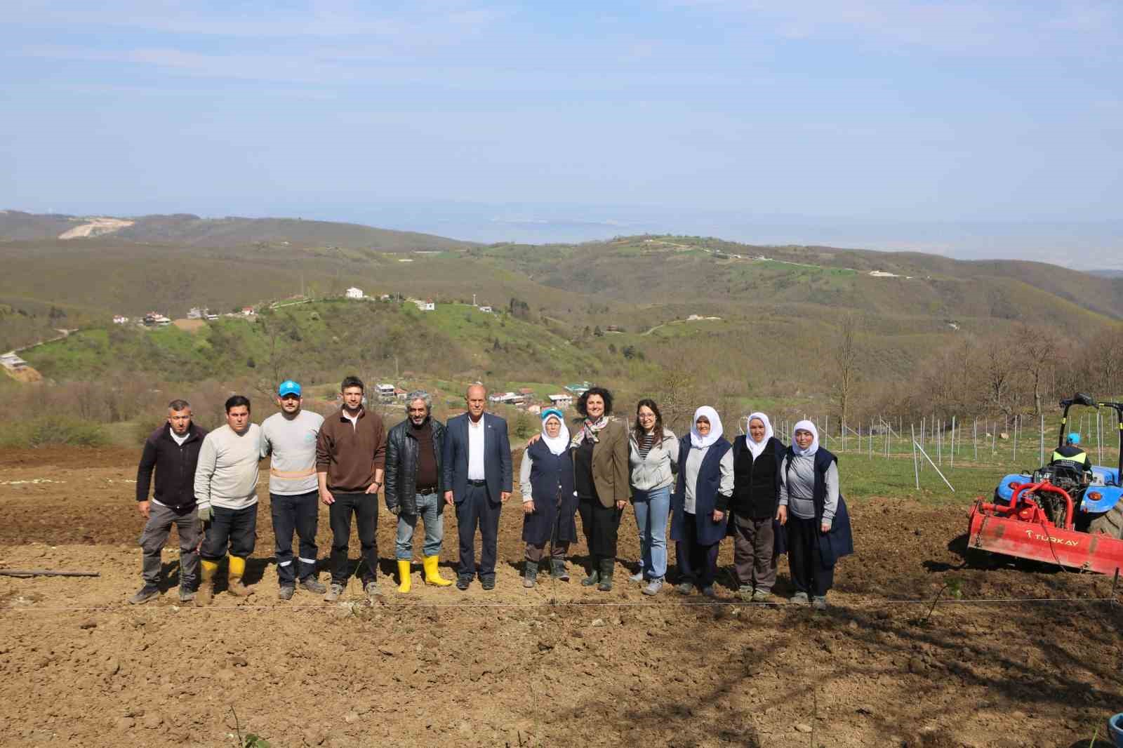 Nil&uuml;fer&rsquo;de atıl araziler bereketleniyor
