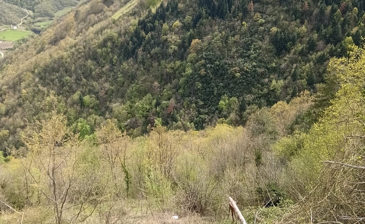 Yakakent&rsquo;te trakt&ouml;r devrildi, s&uuml;r&uuml;c&uuml; yaralandı
