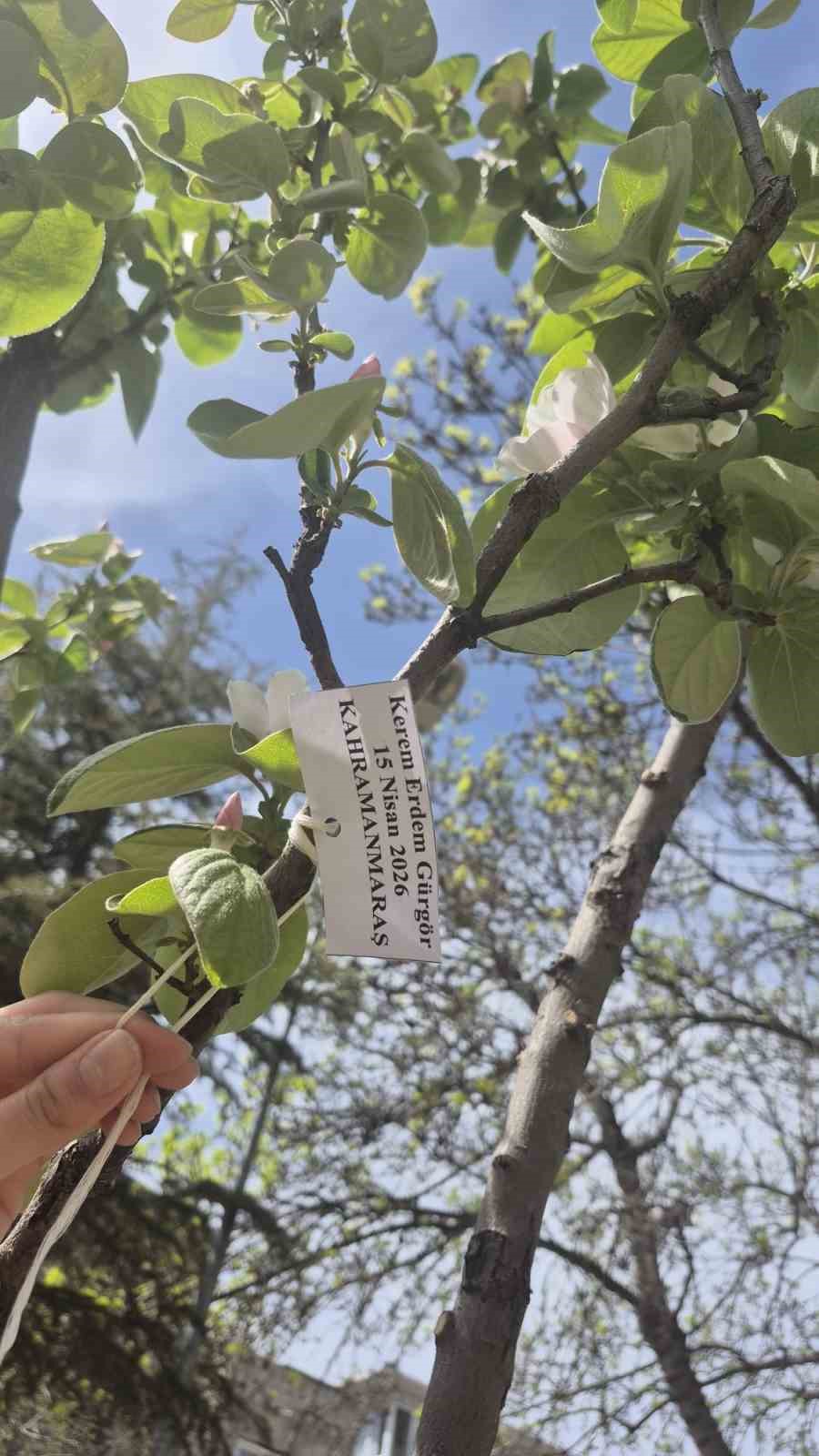 Edirne İlhami Ertem Anadolu Lisesi &ouml;ğrencilerinden anlamlı etkinlik

