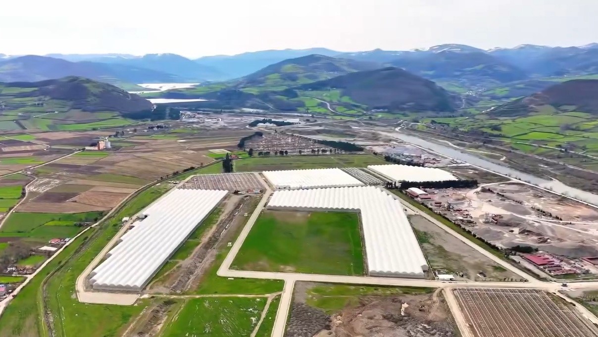 Modern tarımın yeni adresi Bafra: Karadeniz&rsquo;de başarı hikayesi yazılıyor
