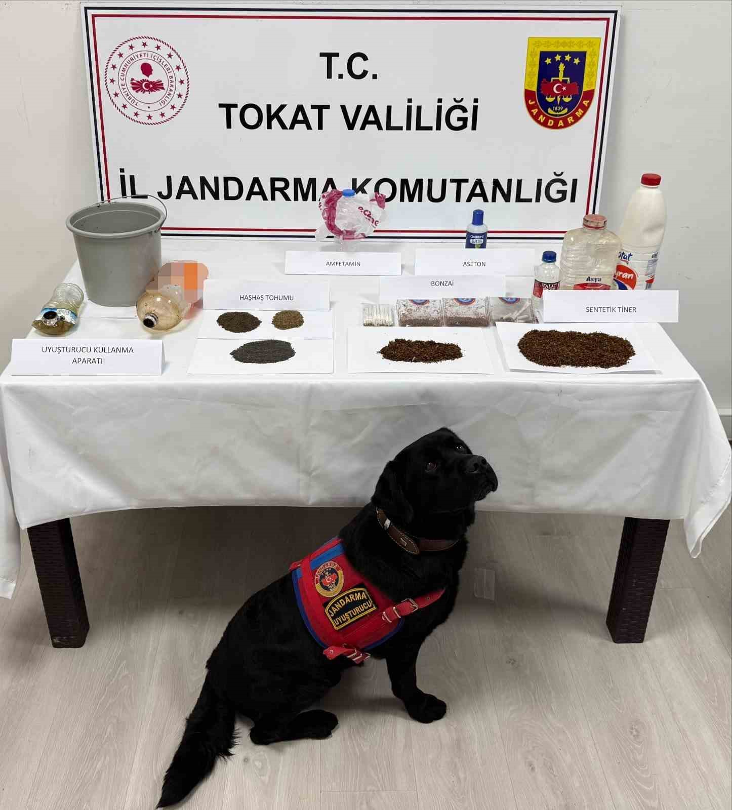 Tokat&rsquo;ta jandarmadan uyuşturucu operasyonu: 8 g&ouml;zaltı
