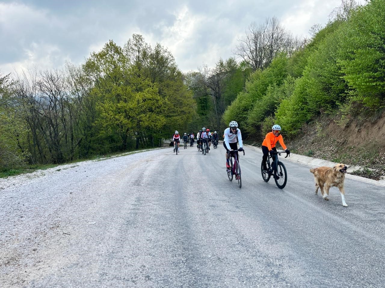 Doğaseverler Mysia Yolları&rsquo;nın izinde
