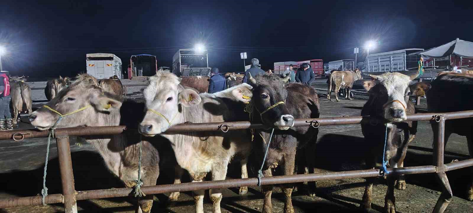 İ&ccedil; Anadolu&rsquo;nun en b&uuml;y&uuml;k hayvan pazarında yoğun kurban mesaisi başladı
