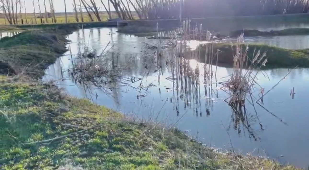 Ağrı&rsquo;da sağanak nedeniyle dereler taştı
