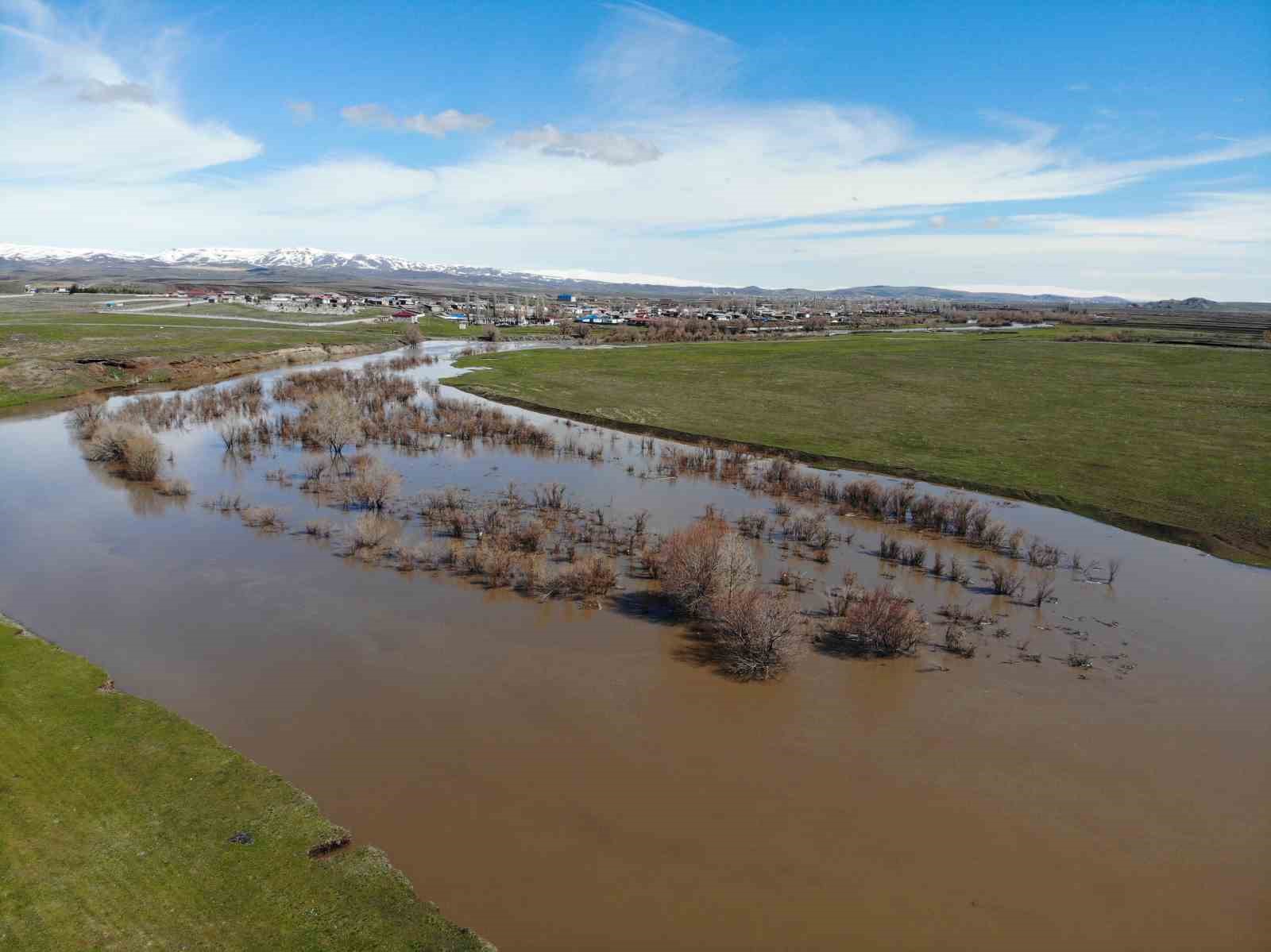 Kars Çayı taştı: Ağaçlar sular altında kaldı