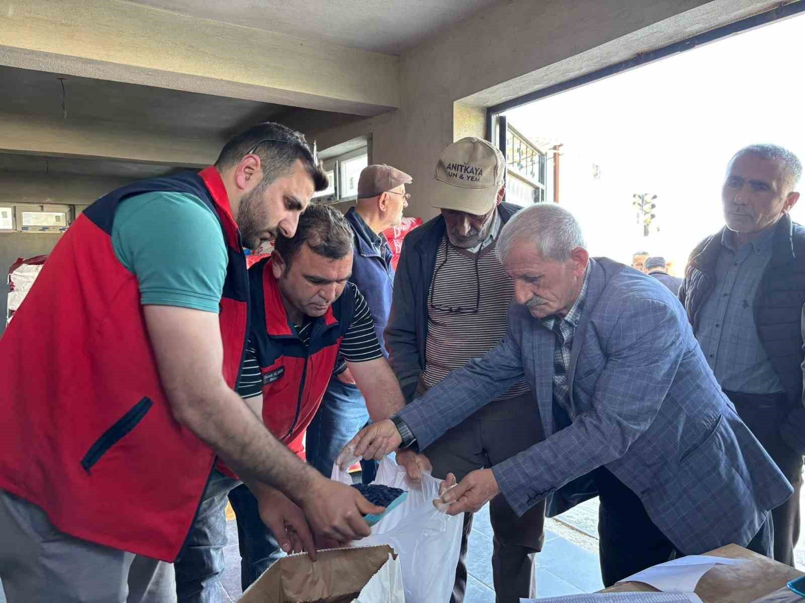 Üreticilere hibe destekli ayçiçeği tohumu dağıtıldı