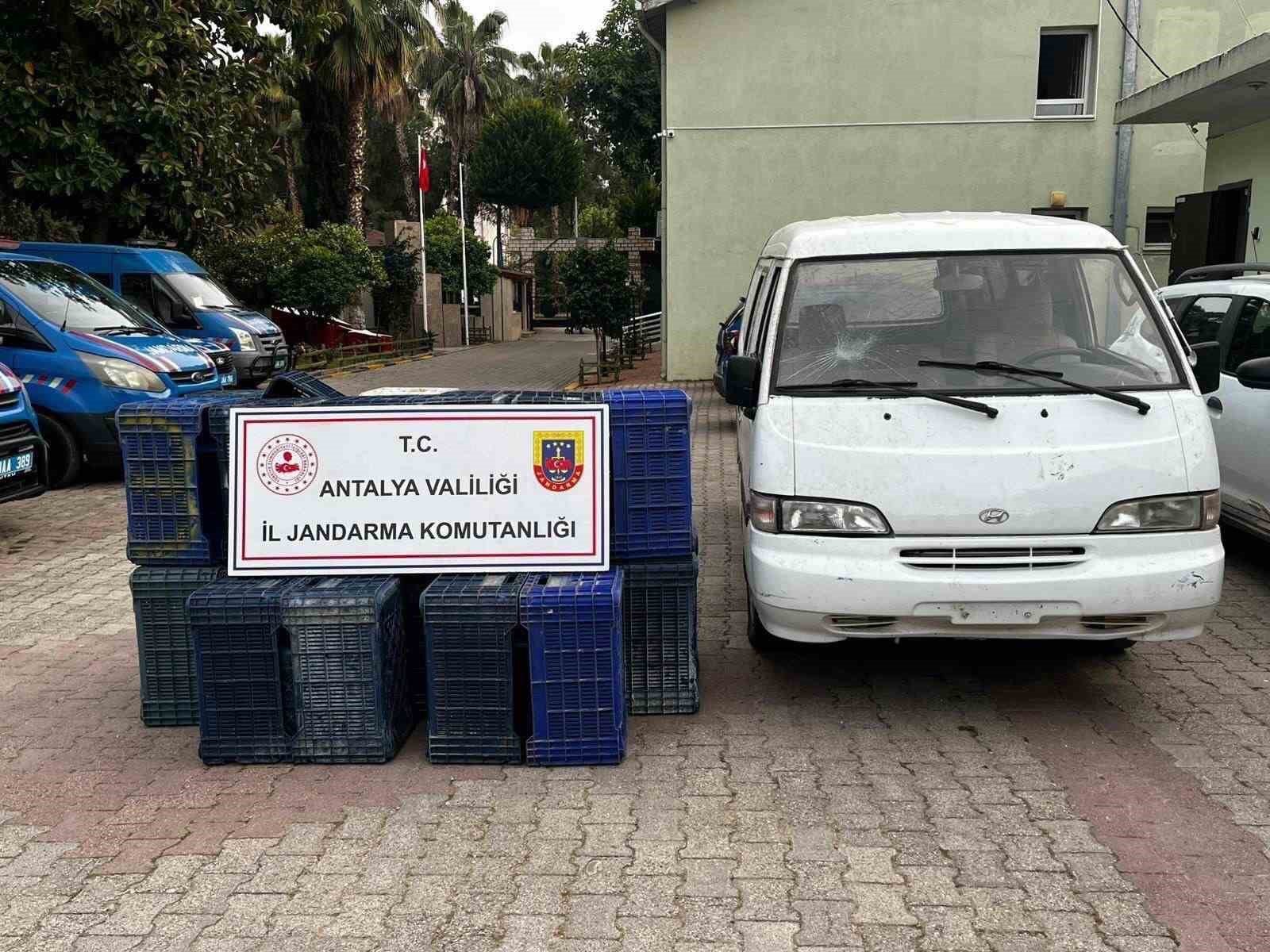 Sahte plakayla 150 adet sebze kasası &ccedil;aldılar, JASAT&rsquo;tan ka&ccedil;amadılar
