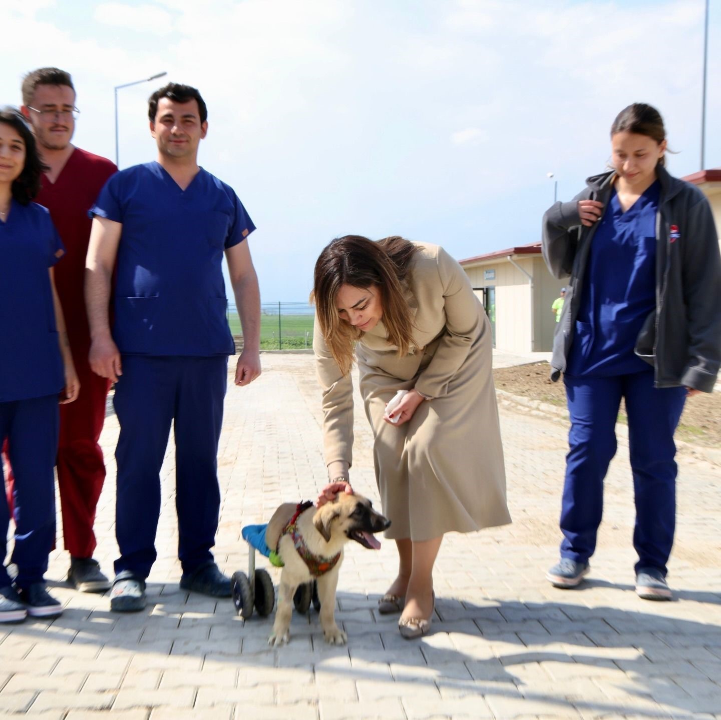 Tekirdağ’da can dostları için 10 bin metrekarelik yaşam alanı