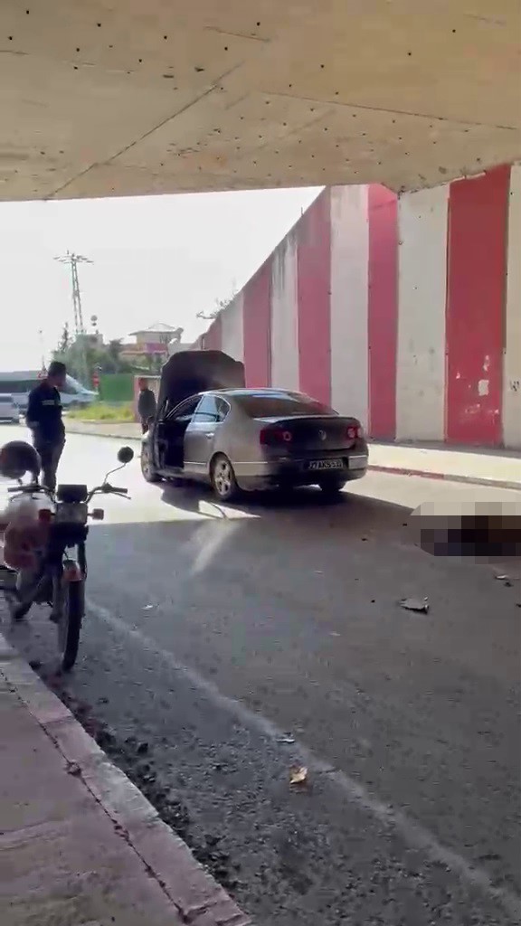 Otomobil s&uuml;r&uuml;ye daldı, 17 koyun telef oldu
