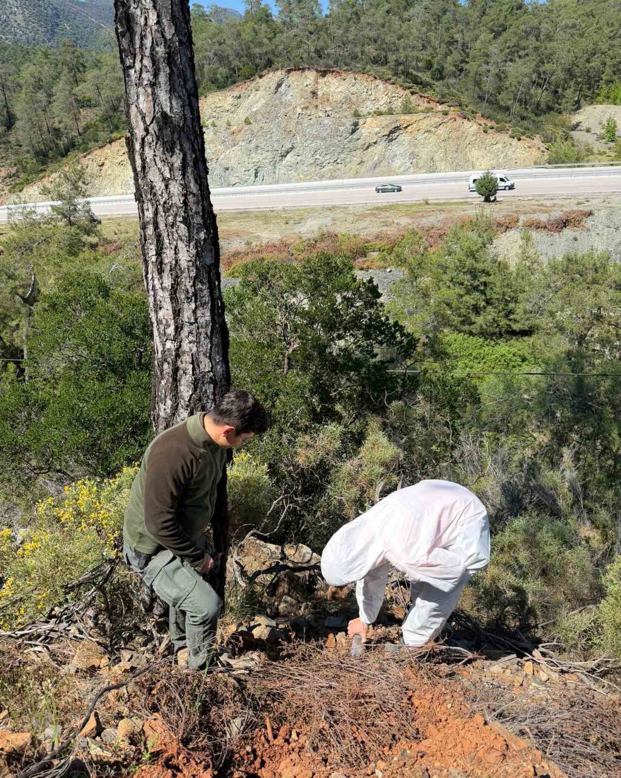 &Ccedil;amkese b&ouml;ceği ile m&uuml;cadele devam ediyor
