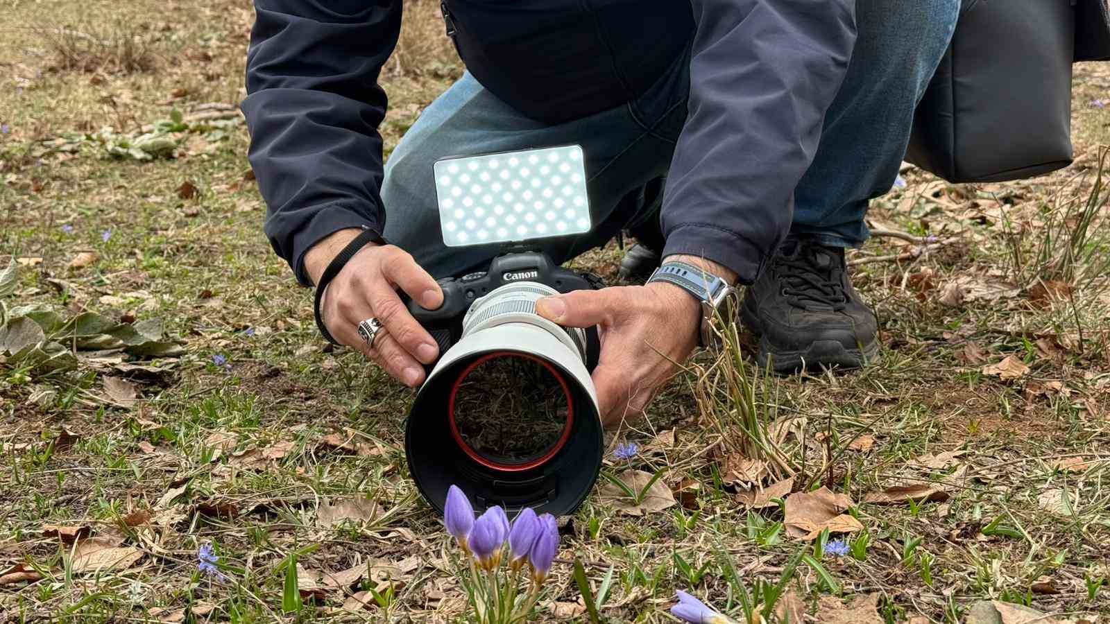 Kartepe&rsquo;nin nadide t&uuml;r&uuml; objektiflere yansıdı

