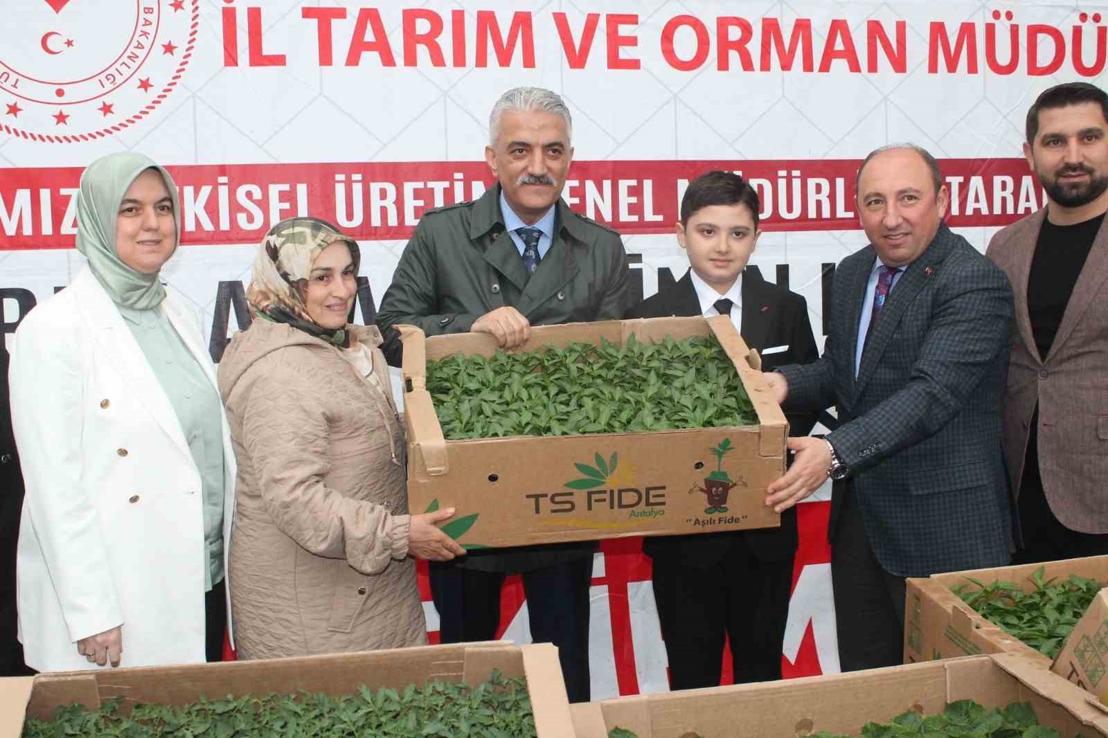 Sebze üretimi yapan çiftçilere fide dağıtıldı