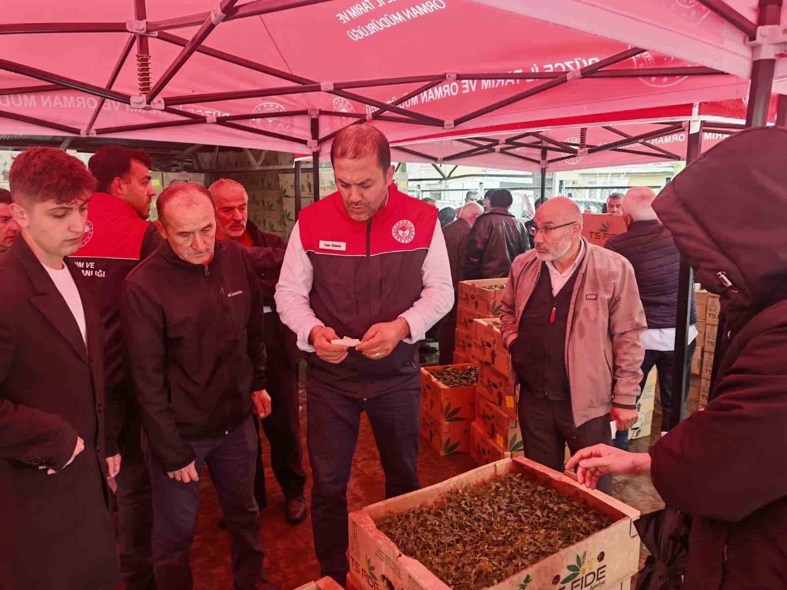 Sebze &uuml;retimi yapan &ccedil;ift&ccedil;ilere fide dağıtıldı
