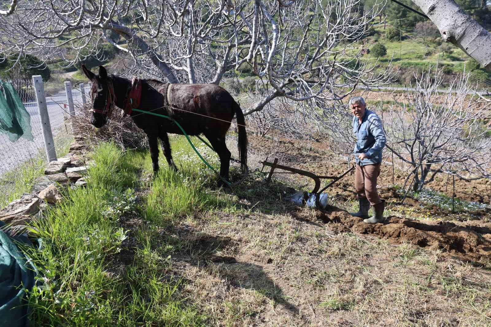 Gen&ccedil;ler k&ouml;y&uuml; terk edince iş yaşlılara kaldı
