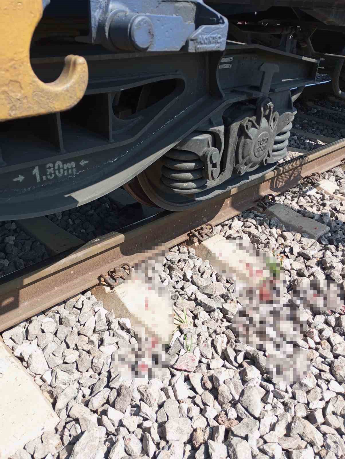 Osmaniye&rsquo;de y&uuml;k treninin &ccedil;arptığı kişi yaralandı
