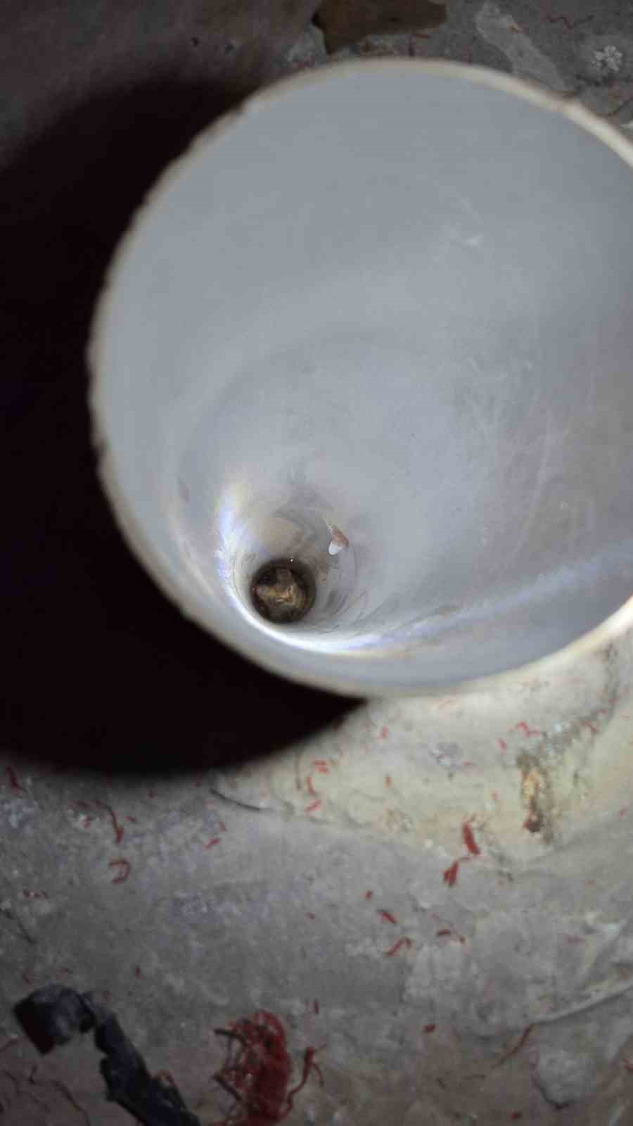 Boruda mahsur kalan kedi duvar kırılarak kurtarıldı
