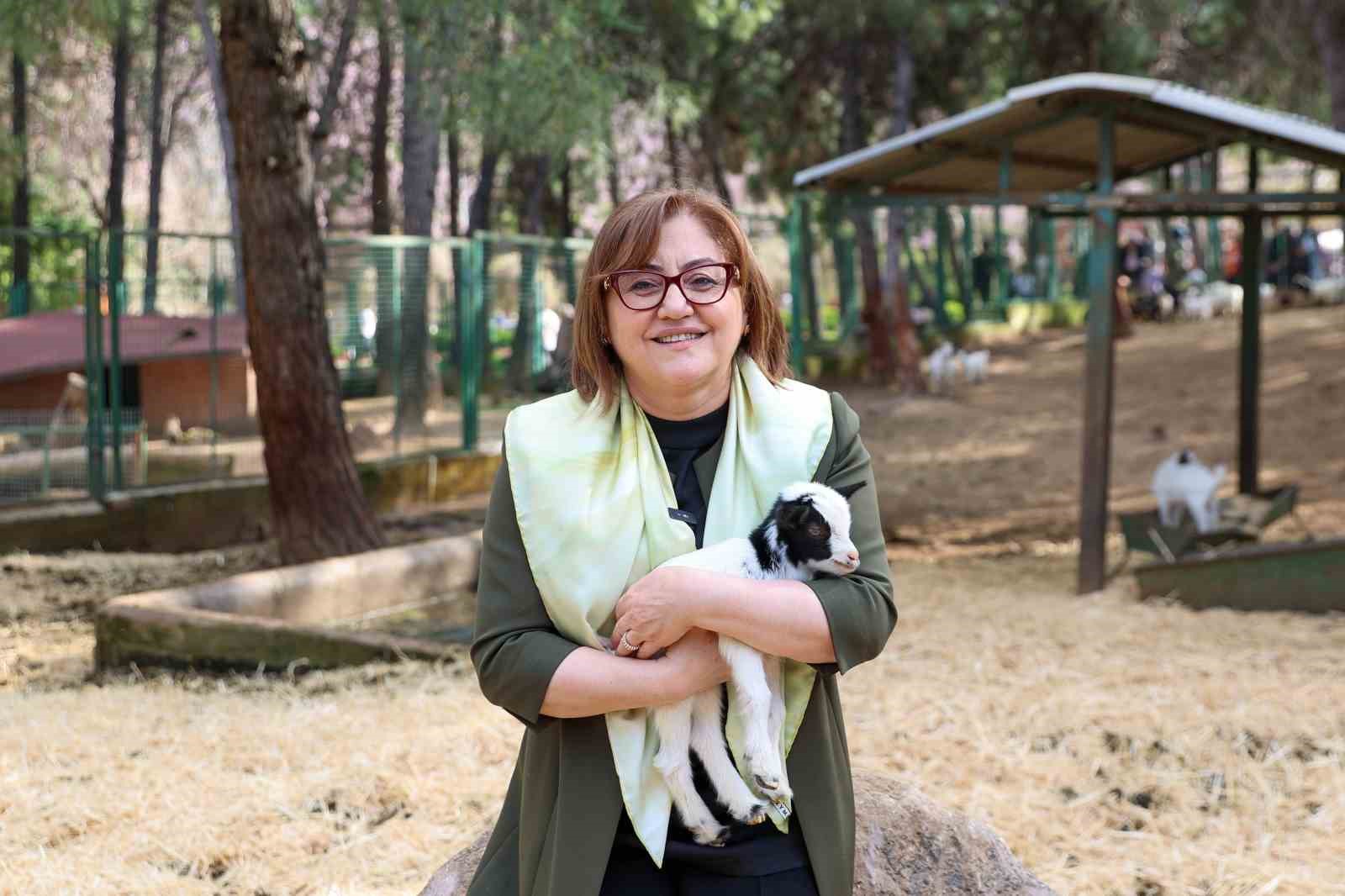 Z&uuml;rafanın yavrusu yetim doğdu
