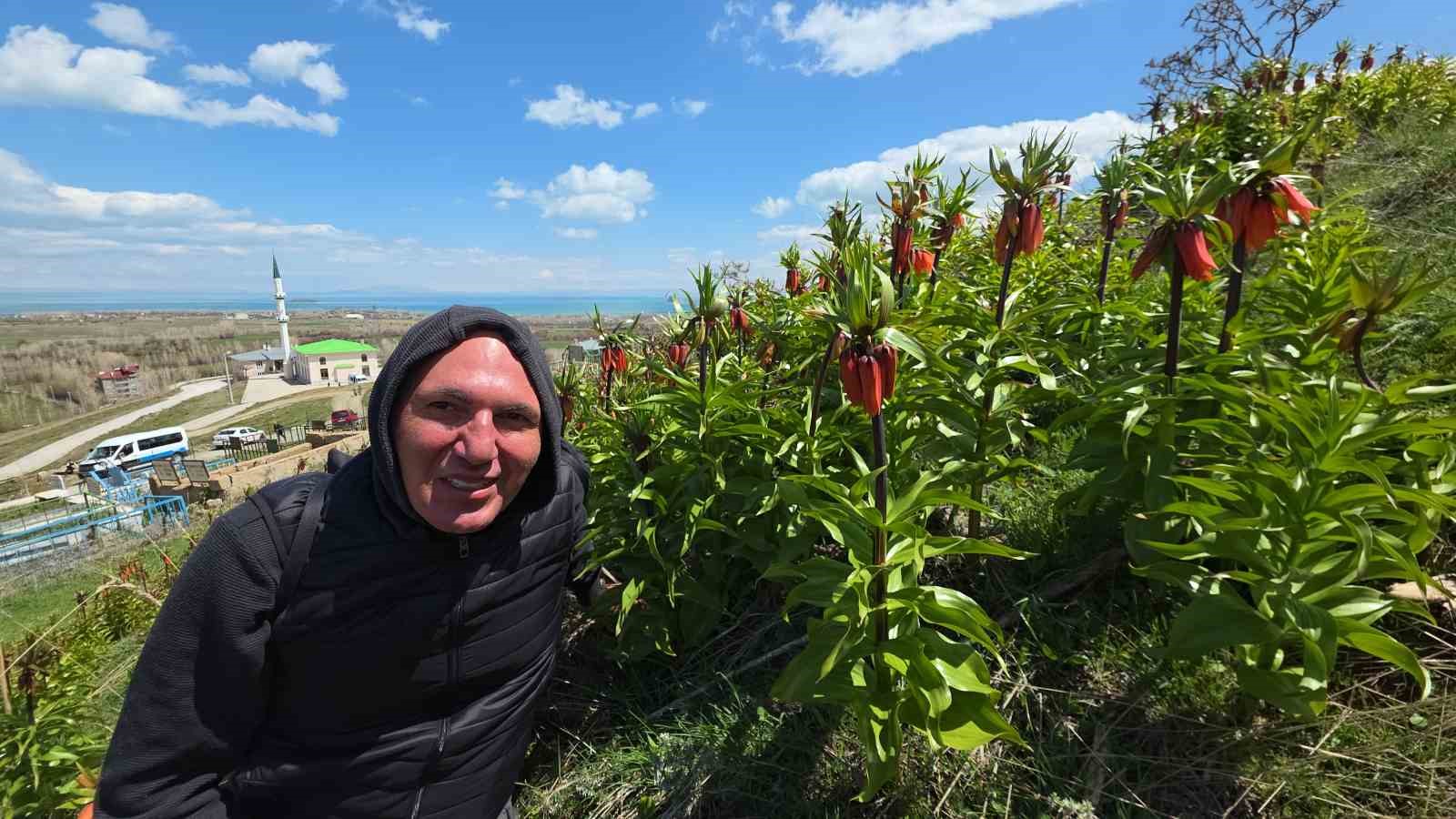 Van&rsquo;da a&ccedil;an ters laleler g&ouml;z kamaştırıyor
