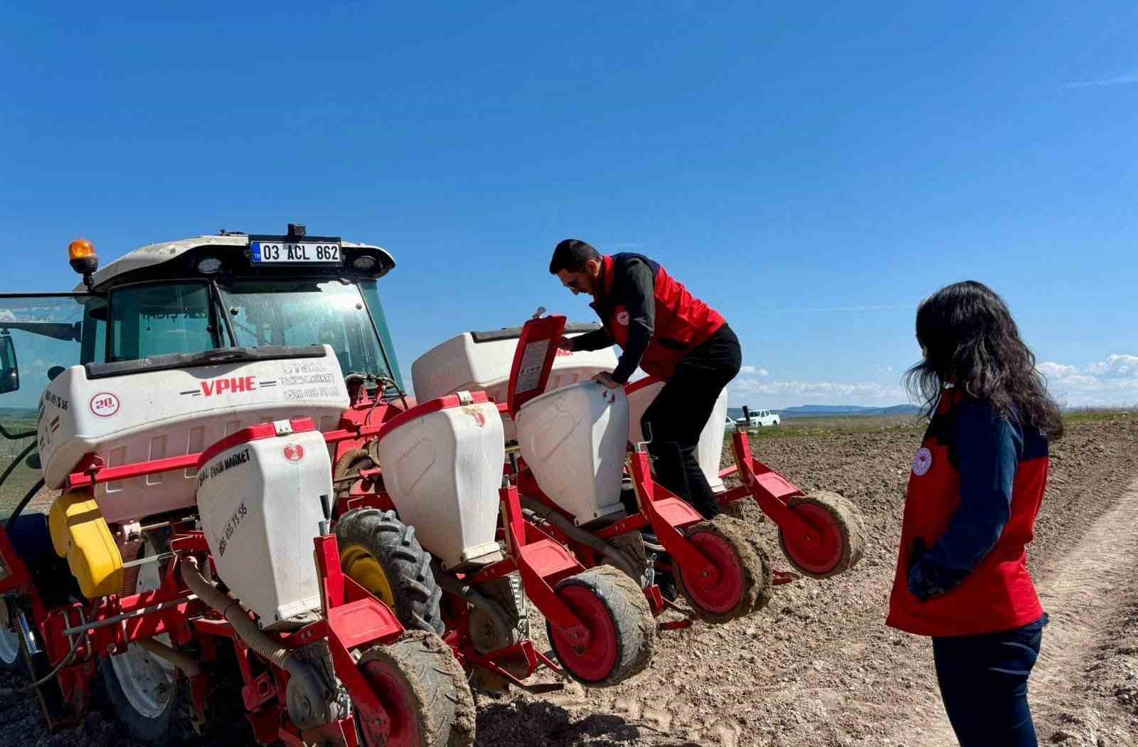 Atıl durumdaki tarım arazilerine ay&ccedil;i&ccedil;eği ekimi yapıldı
