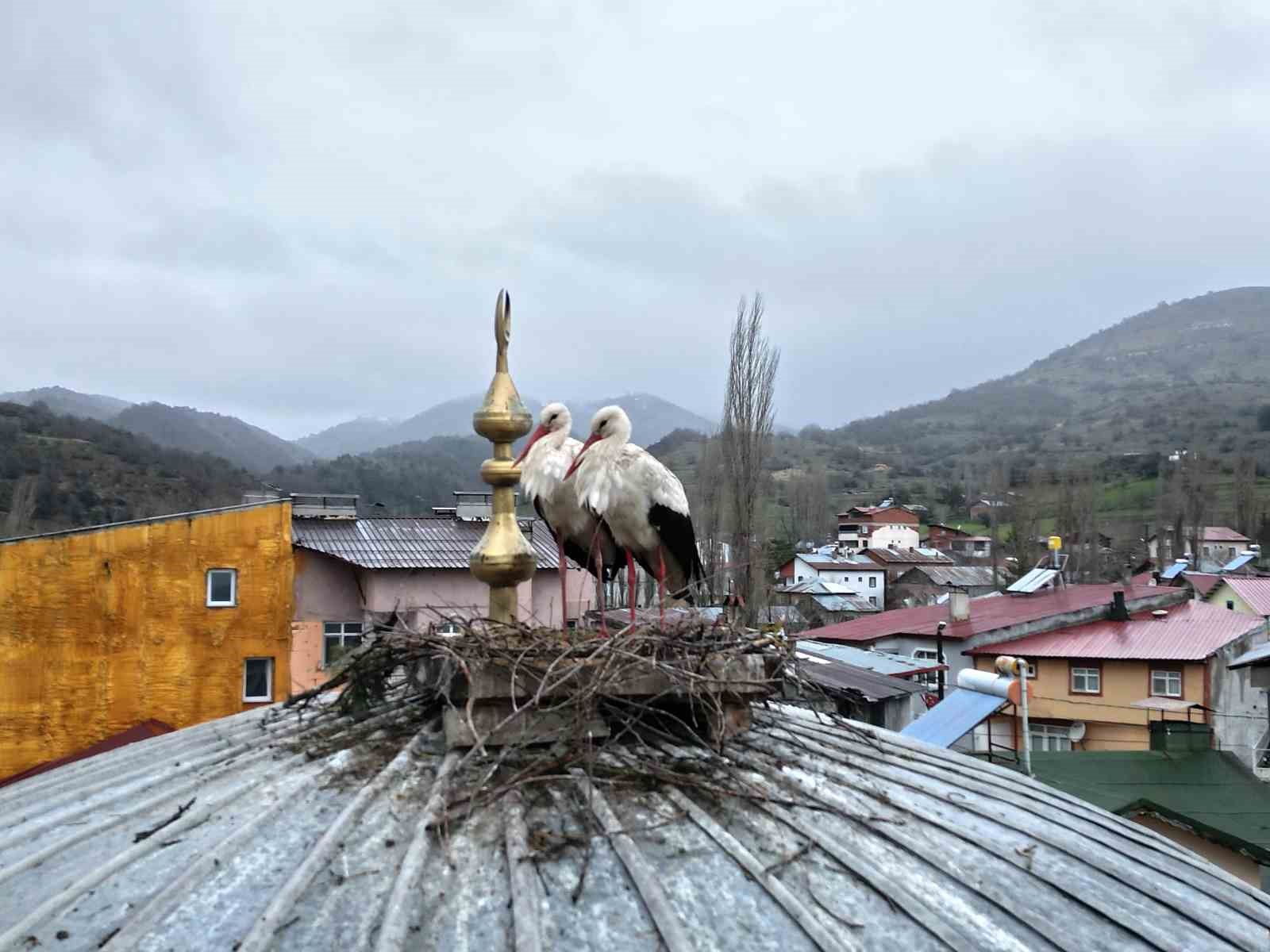 Tokat&rsquo;ın Baş&ccedil;iftlik il&ccedil;esine 25 yıl sonra d&ouml;nen leylekler, nisan ayında kar altında kaldı
