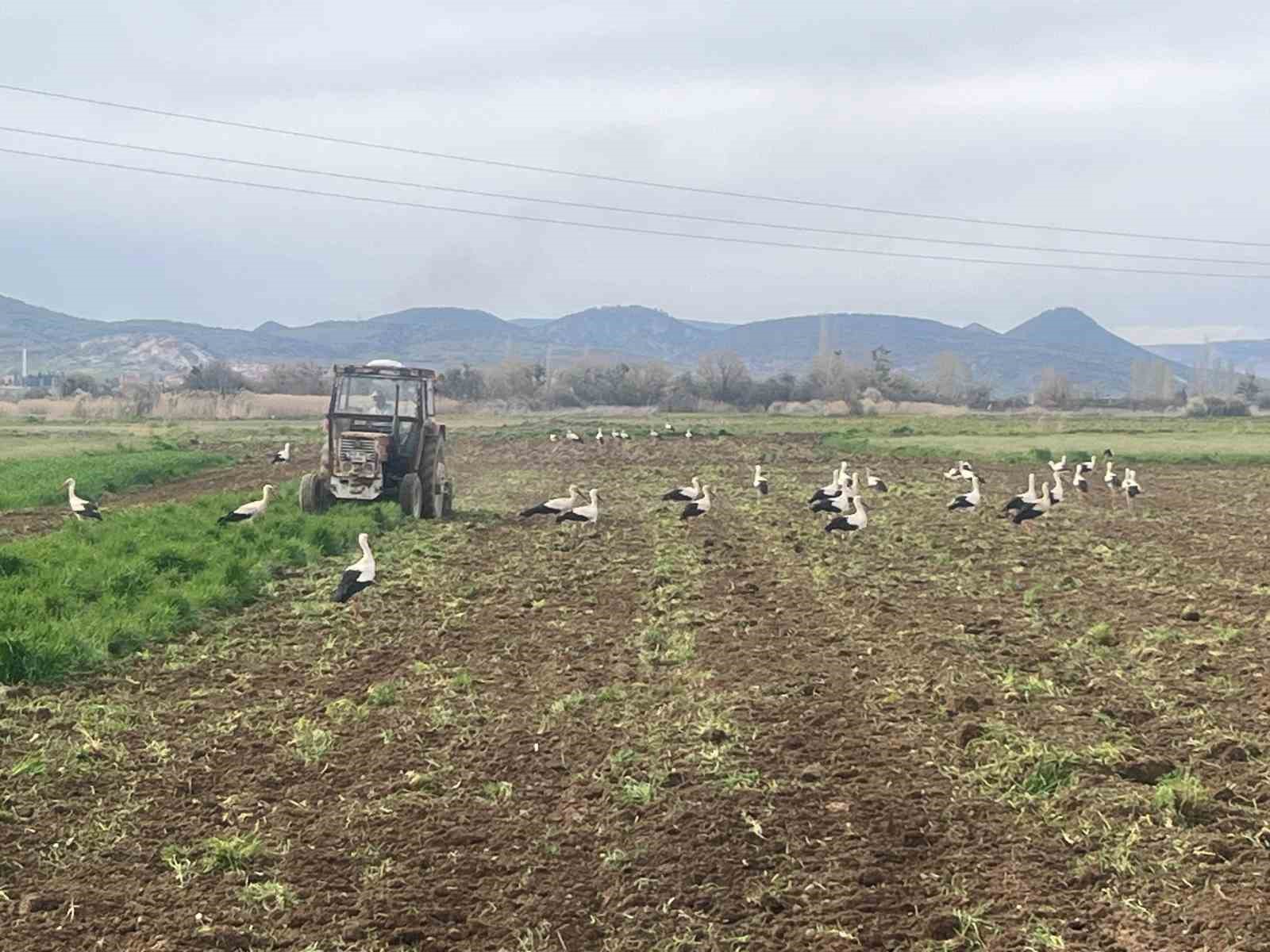 &Ccedil;ift&ccedil;inin doğal mesai arkadaşları iş başında
