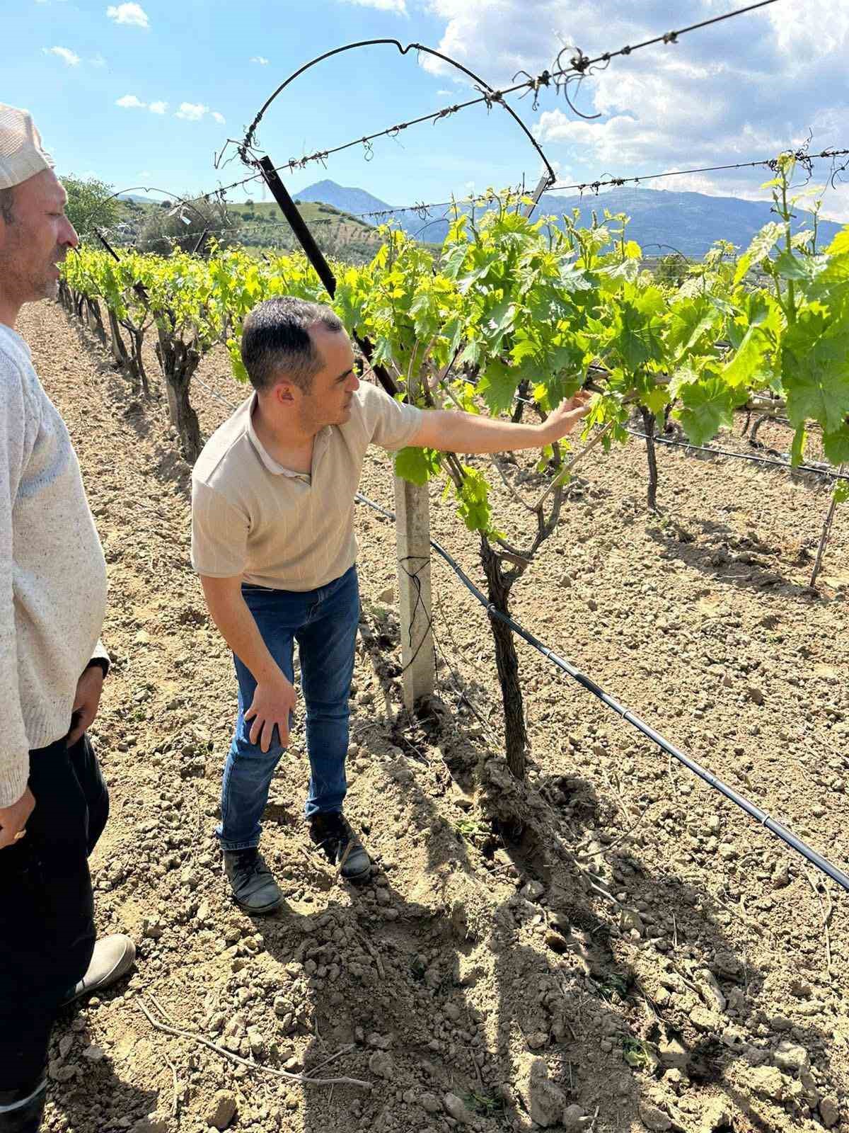 TARİŞ&rsquo;ten bağlara yakın takip
