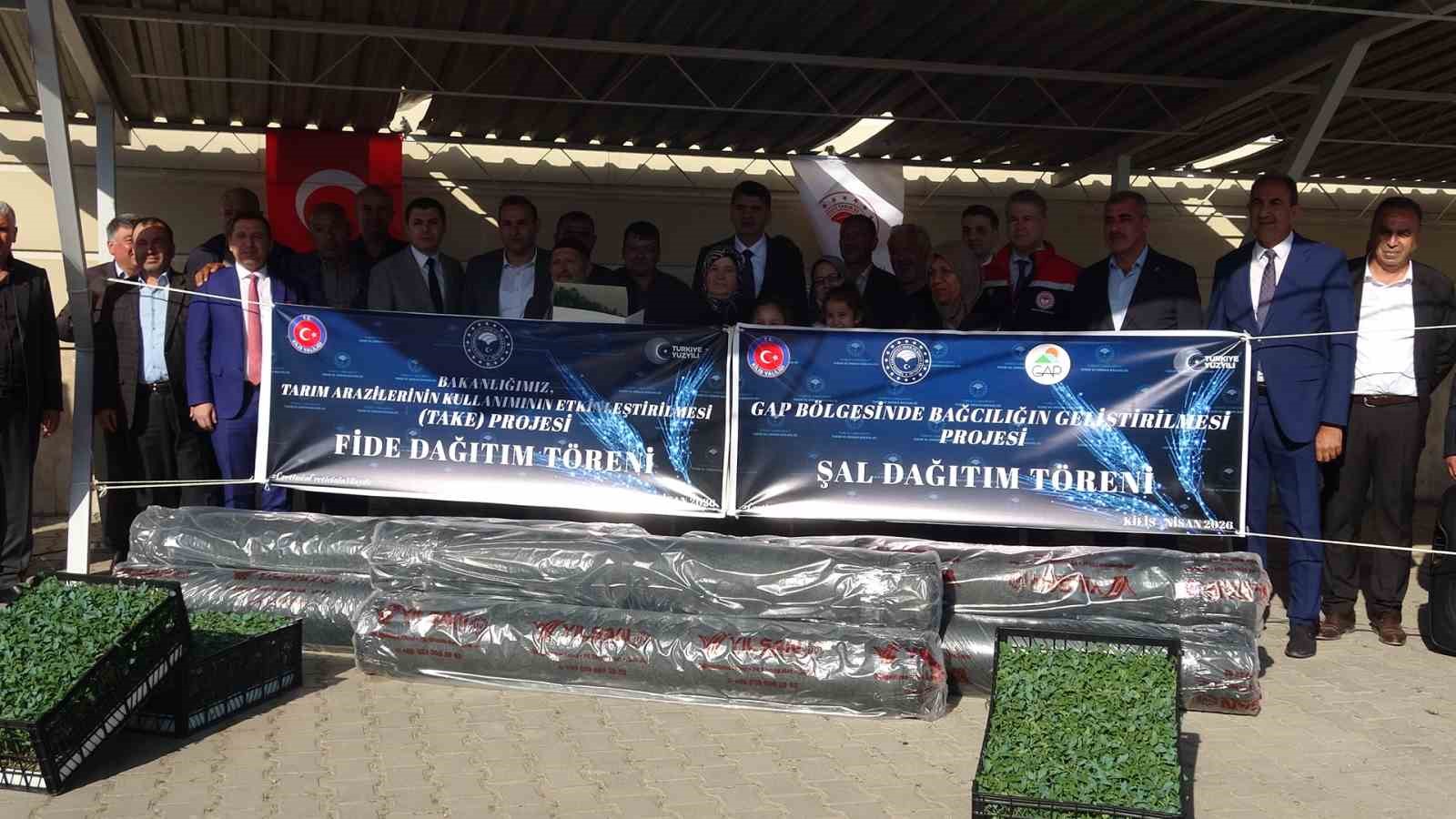 Kilis&rsquo;te 320 &ccedil;ift&ccedil;iye &uuml;z&uuml;m şalı, 250 &ccedil;ift&ccedil;iye 400 bin fide desteği
