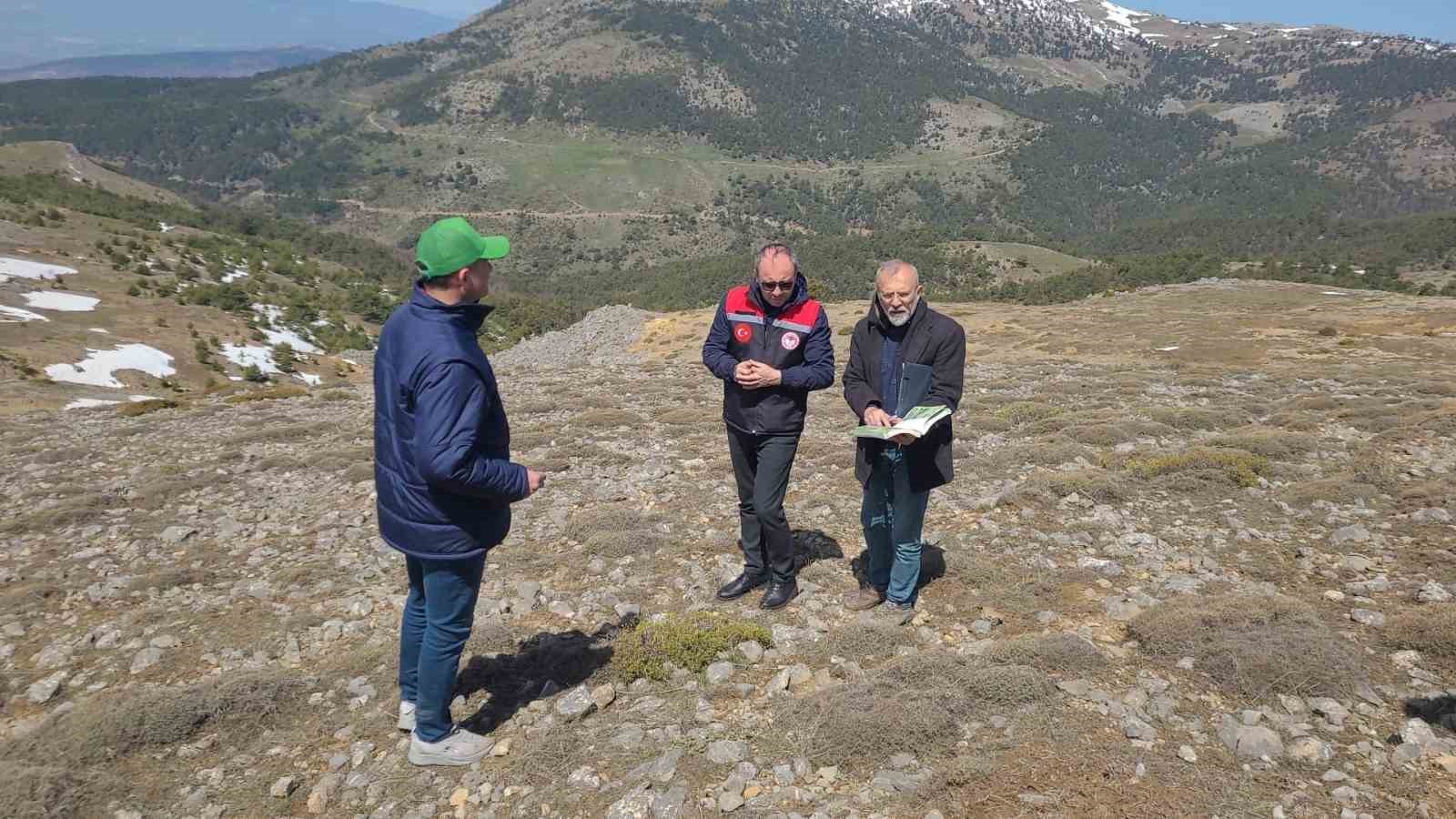 Amasya&rsquo;nın mera ve yaylalarında otlatma kapasitesi incelemesi
