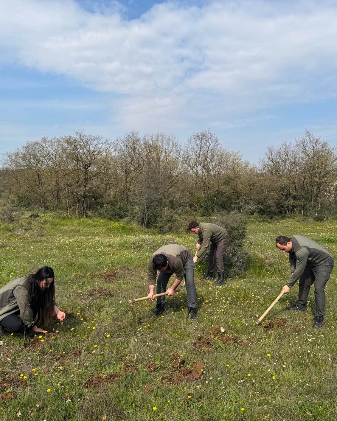 Nesli tehlike altındaki bitkinin yumrularını s&ouml;ken kişiye yarım milyonluk ceza
