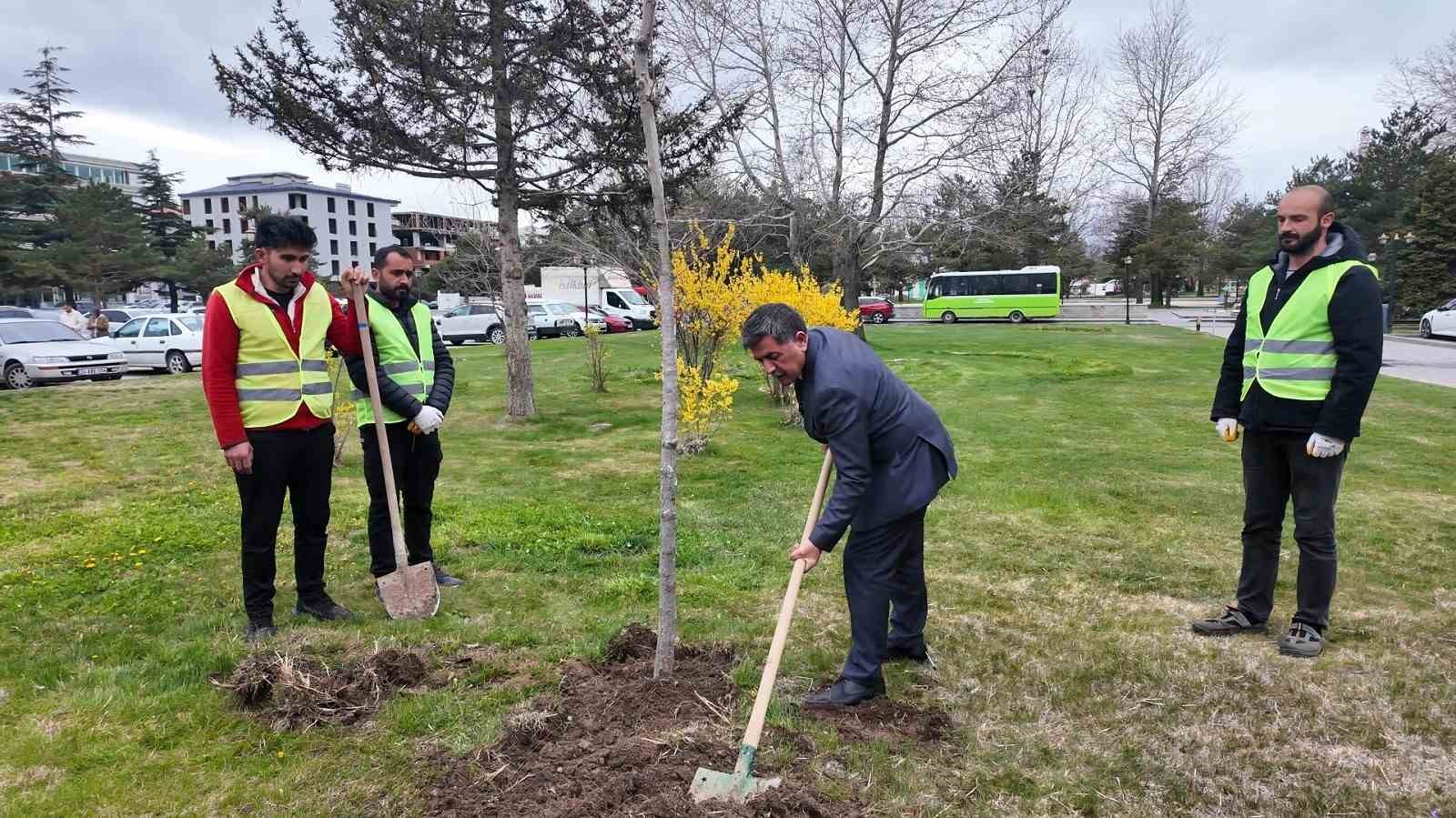"Masumiyet &Ccedil;ınarları" kaybedilen canların hatırası i&ccedil;in dikildi

