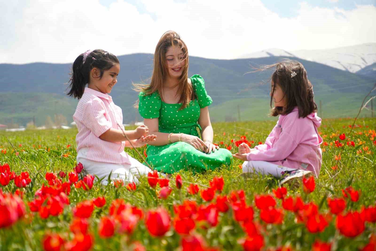 Muş lalesi ovayı kırmızıya boyadı