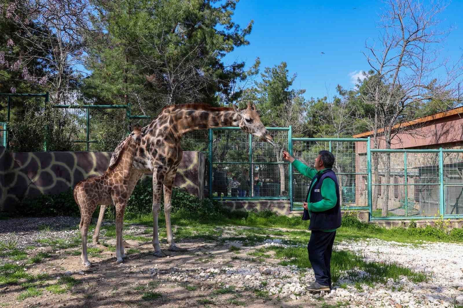 Gaziantep Doğal Yaşam Parkı&rsquo;nda hedef 10 milyon ziyaret&ccedil;i
