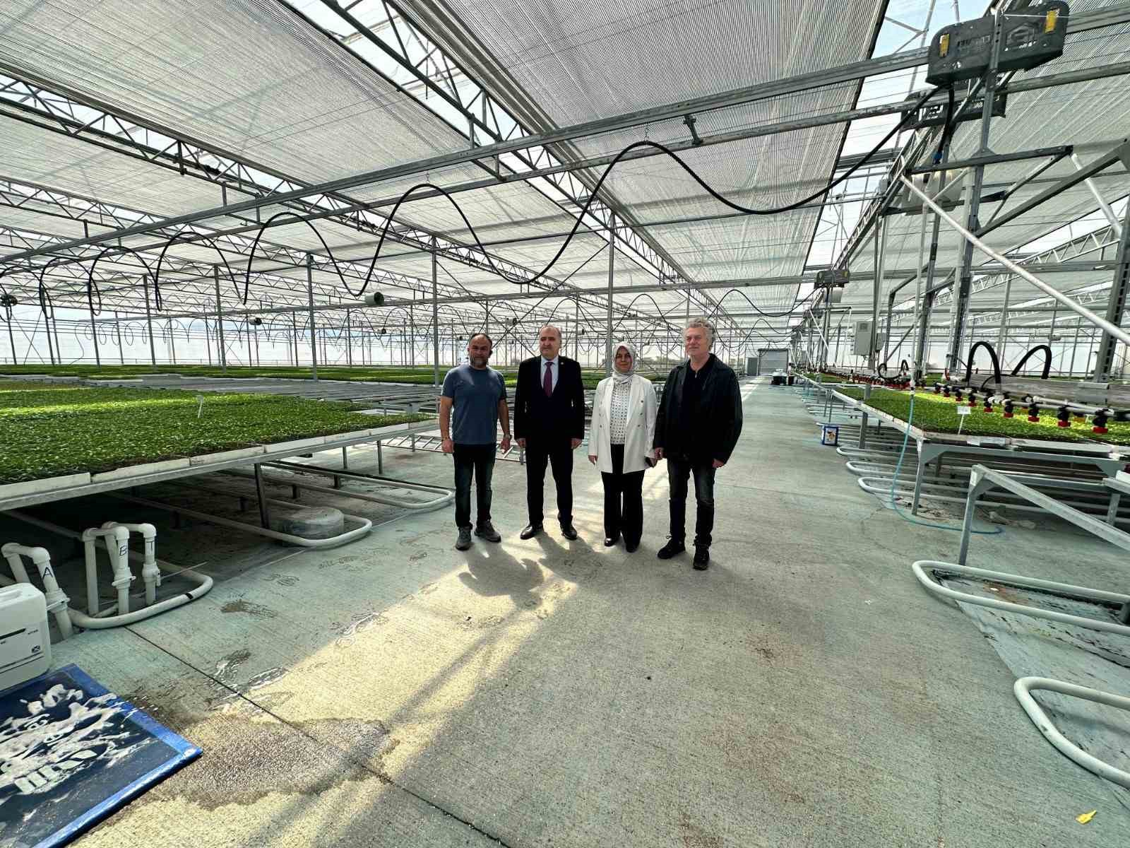 D&uuml;zce&rsquo;den Seracılık İhtisas Organize Tarım B&ouml;lgesi&rsquo;nde inceleme
