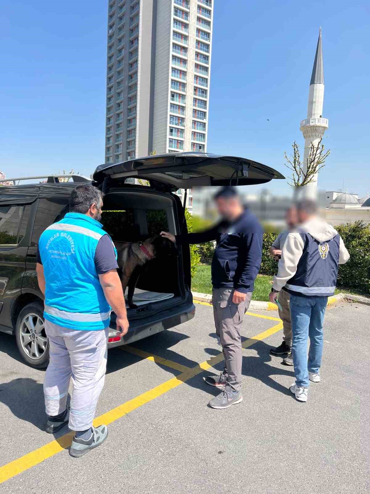 Avcılar&rsquo;da k&ouml;peğe k&ouml;t&uuml; muamelede bulunan şahıs yakalandı
