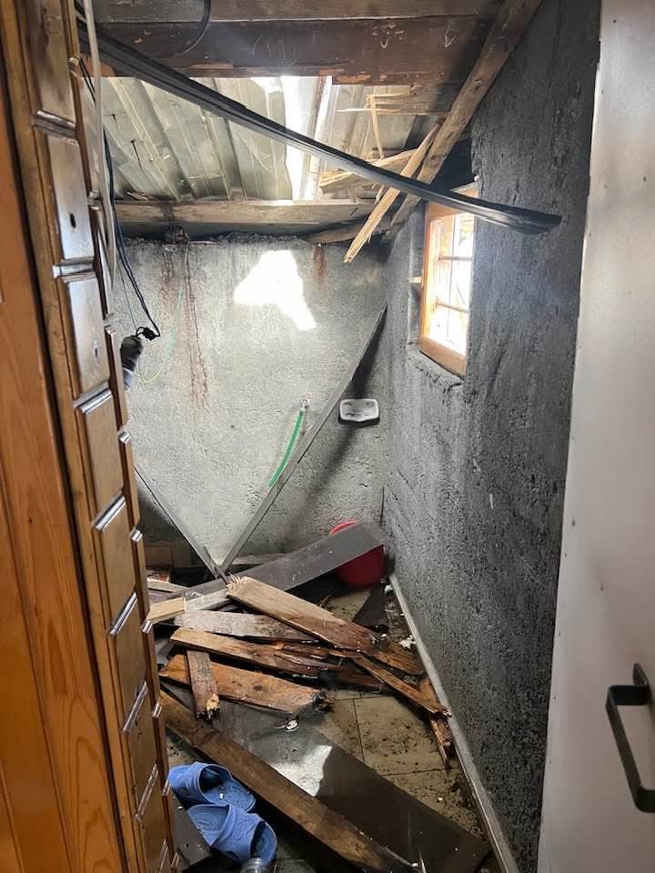 Kış uykusu bitti, ayı istilası başladı
