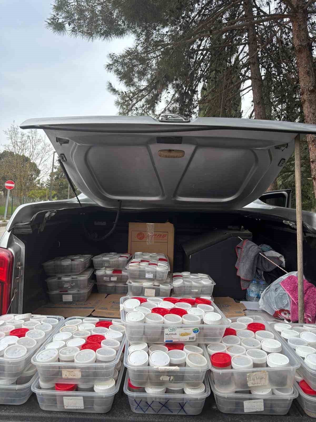 Doğanın sessiz kahramanları g&ouml;rev başında
