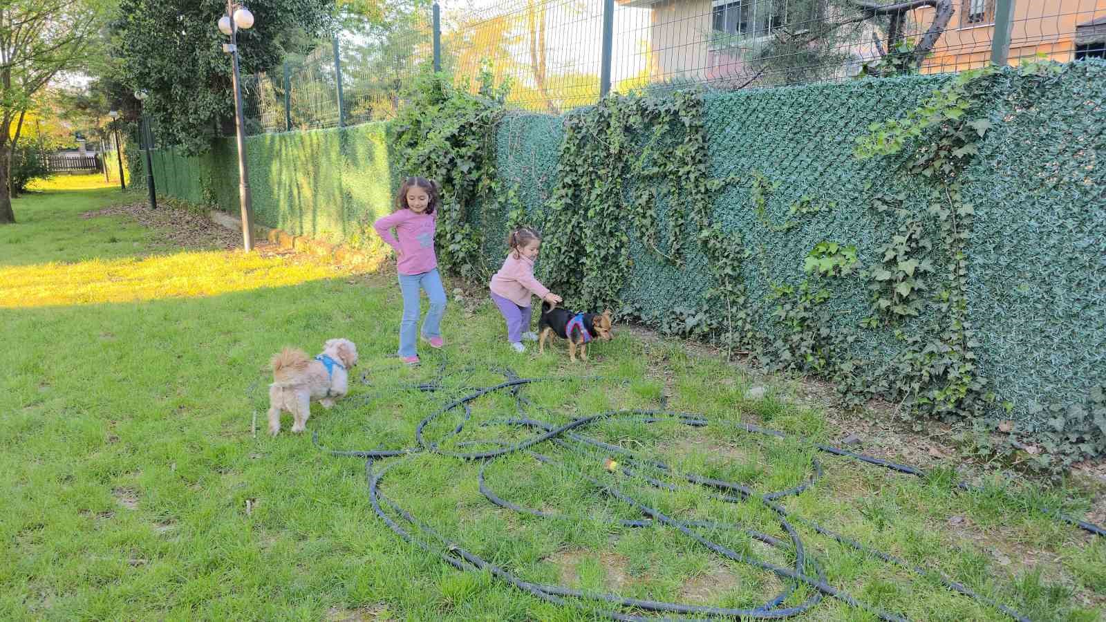 Ceku&rsquo;nun park keyfi: Kaydıraktan kayıyor, &ccedil;ocuklarla oynuyor
