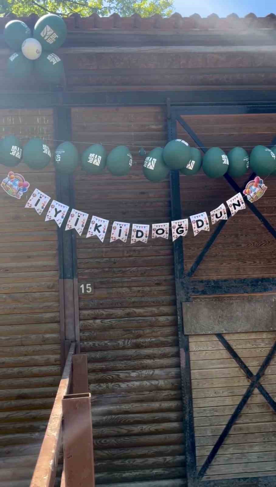 Ormanya&rsquo;da doğan yavru deve i&ccedil;in renkli kutlama
