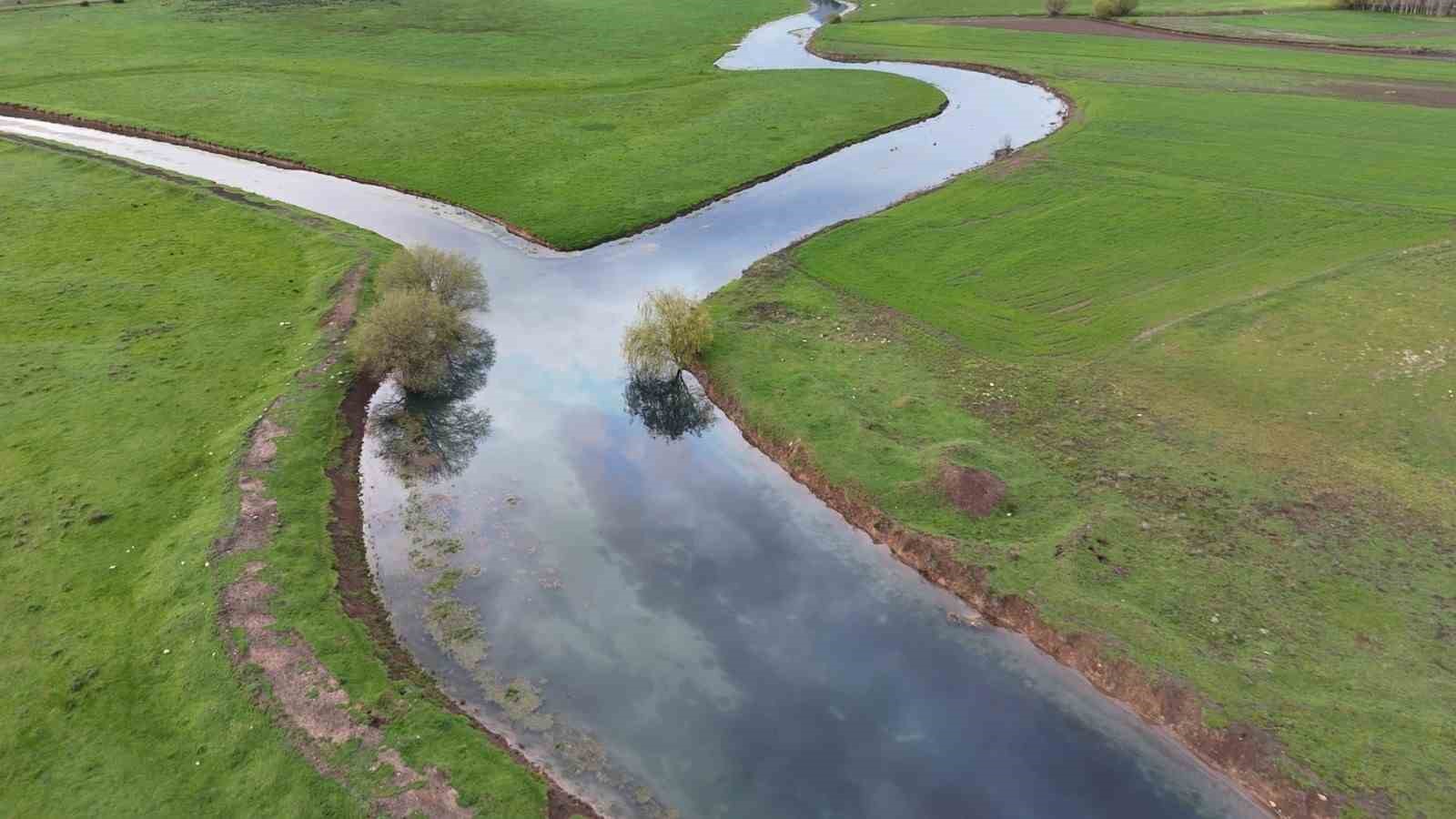 Leyleklerin durağı yemyeşil g&ouml;r&uuml;nt&uuml;s&uuml;yle mest ediyor
